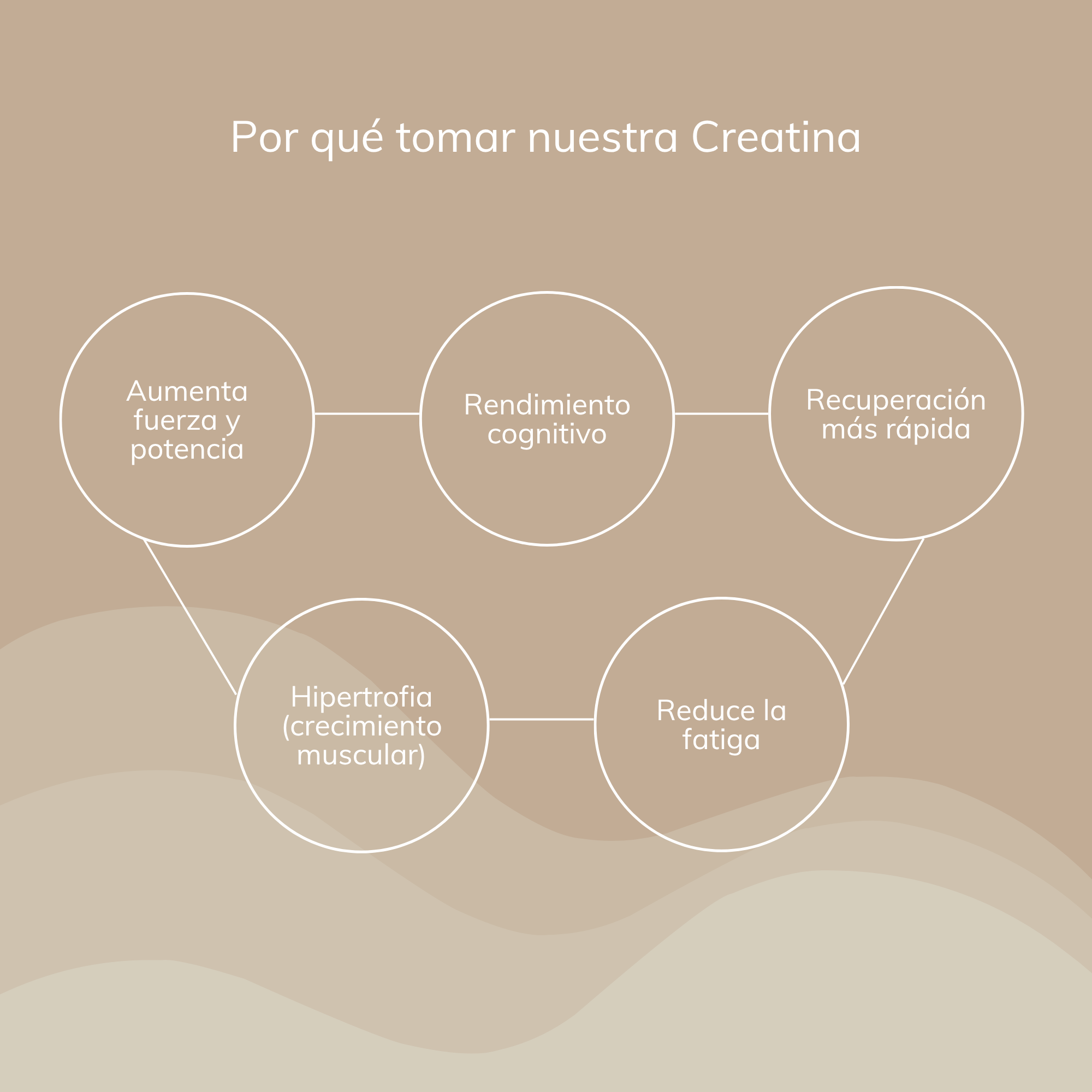 inMe CREATINA MONOHIDRATO